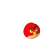 Angry birds 29