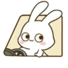 ️Mix bunny 2   MOV 30