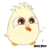 Angry birds 30