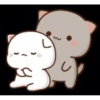 Mochi peach cat 30
