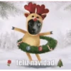 Navidad  ️2mov 6