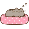 Buenas Noches (Mov) 9