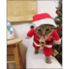 Michis Navidad 6