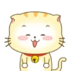 ️ Beautiful yellow Cat   MOV 6