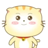️ Beautiful yellow Cat   MOV 7