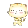 ️ Beautiful yellow Cat   MOV 8