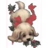 Navidad  ️2mov 8