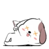 Cute puppy 5  .MOV 7