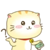 ️ Beautiful yellow Cat   MOV 10