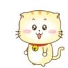 ️ Beautiful yellow Cat   MOV 11