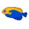 Animais marinhos 8