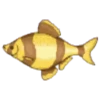 Animais marinhos 9