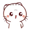 Bambu Kitty 5