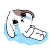 Cute puppy 5  .MOV 8
