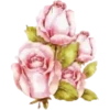Sparkling Flowers 1 Movi 8