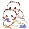 Bambu Kitty 6