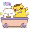 ️Tierno gatito   MOV 5