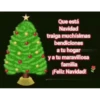 Navidad  ️2mov 9