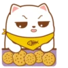 ️Tierno gatito   MOV 6