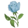 Sparkling Flowers 1 Movi 9