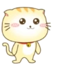 ️ Beautiful yellow Cat   MOV 12