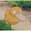 Psyduck (Pokémon) MOV 12