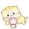 ️ Beautiful yellow Cat   MOV 13
