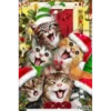 Michis Navidad 12