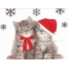 Michis Navidad 13