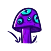 Cogumelos 7