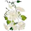 Sparkling Flowers 1 Movi 10