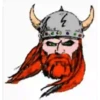 VIKINGO ANIMADO 12