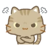 Three cats  .MOV 9