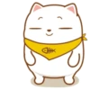 ️Tierno gatito   MOV 10