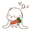 The bunny's daily life Mov 13