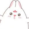 ️ Princesa conejo  MOV 11
