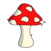 Cogumelos 11