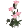 Sparkling Flowers 1 Movi 14