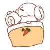 The bunny's daily life Mov 15