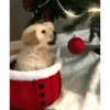 navidad   ️1mov 14