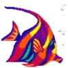 Animais marinhos 16