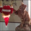 Michis Navidad 16