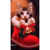 Navidad  ️2mov 15