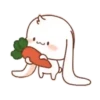 The bunny's daily life Mov 16