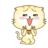 ️ Beautiful yellow Cat   MOV 17
