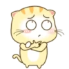 ️ Beautiful yellow Cat   MOV 18