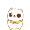 ️Tierno gatito   MOV 12