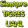 ️ TIGRES UANL.MOV 17