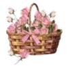 Sparkling Flowers 1 Movi 16
