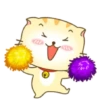️ Beautiful yellow Cat   MOV 19